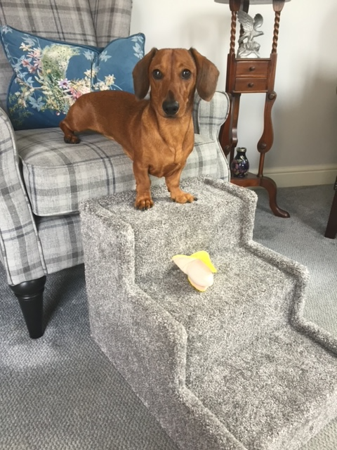 Peggy & Olive's Space Saver Steps