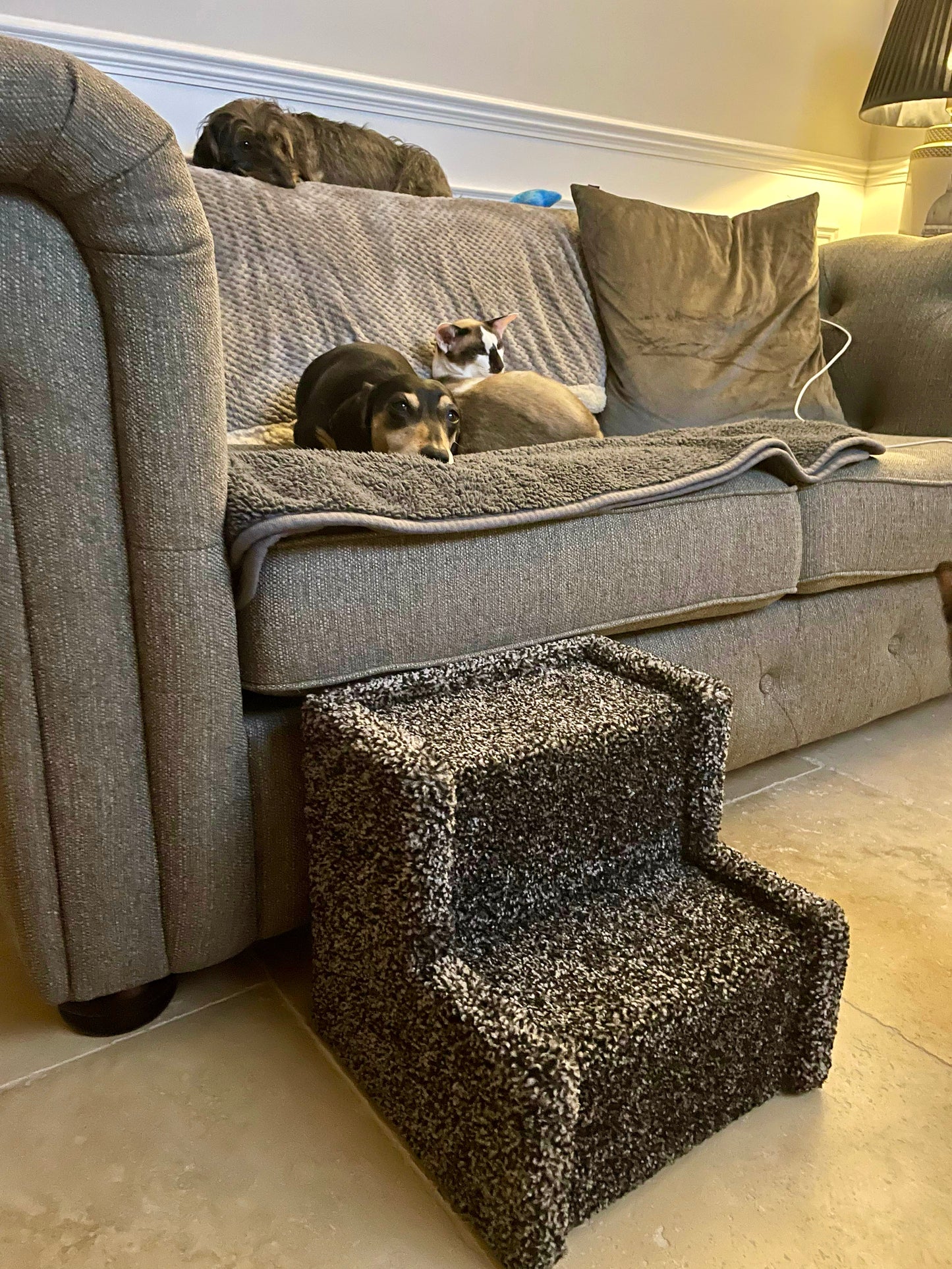 Peggy & Olive's Space Saver Steps