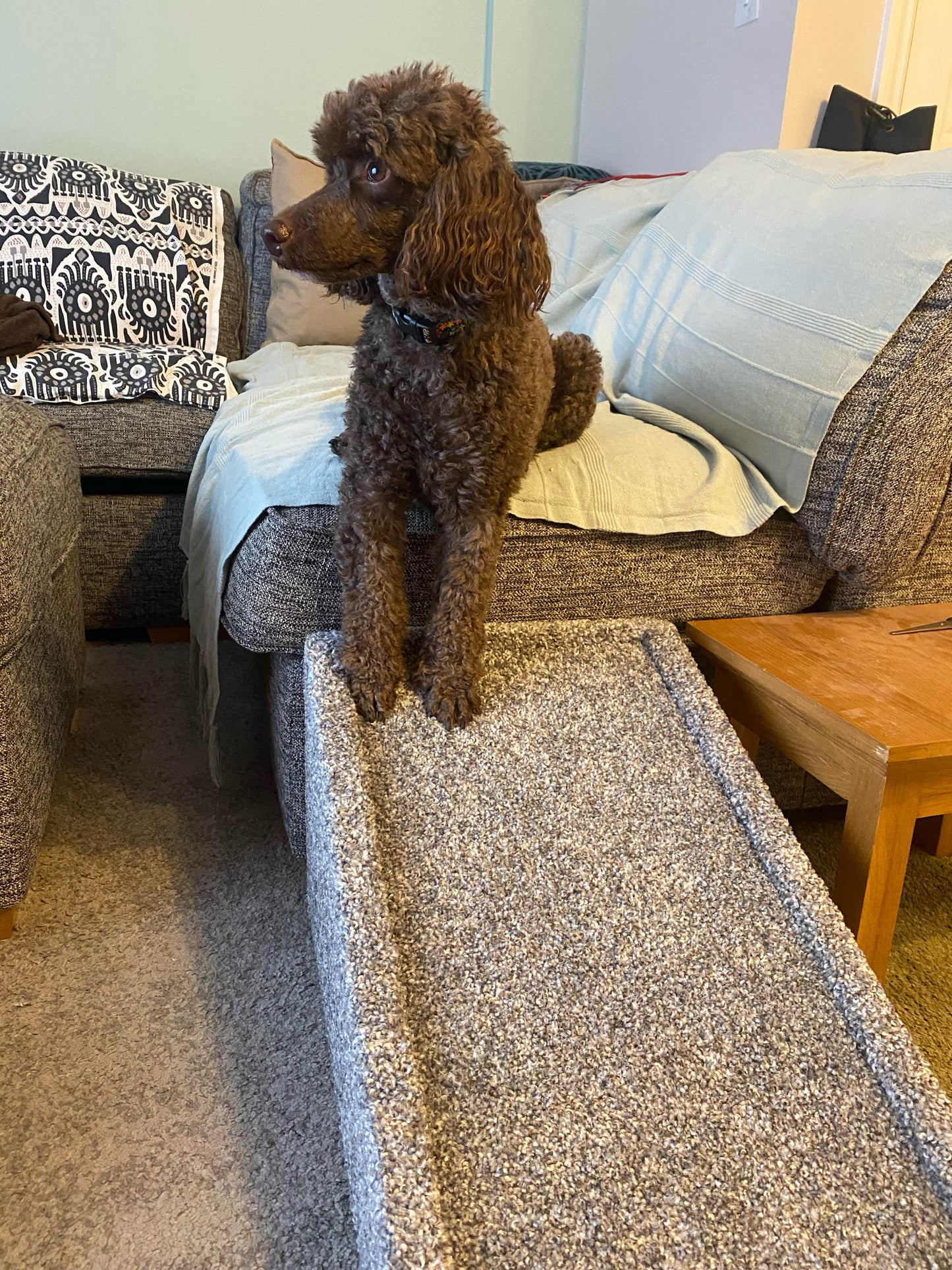 30cm (12") High Carpeted Wood Dog, Cat, Pet Ramp Without Landing