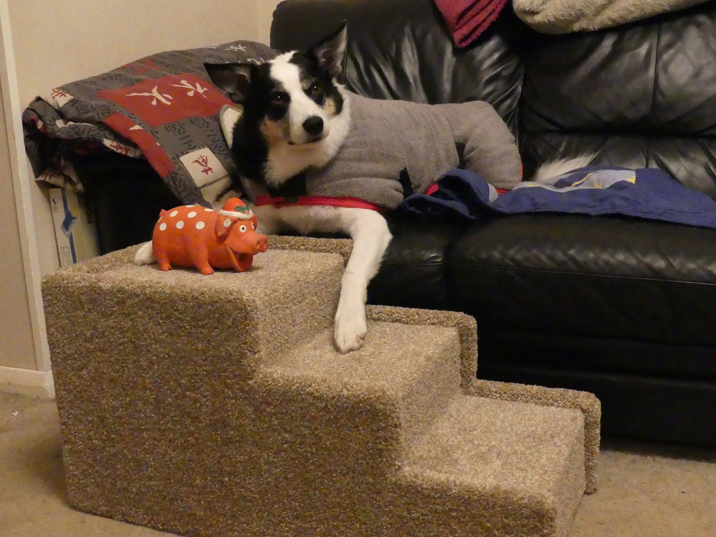 Peggy & Olive's Space Saver Steps