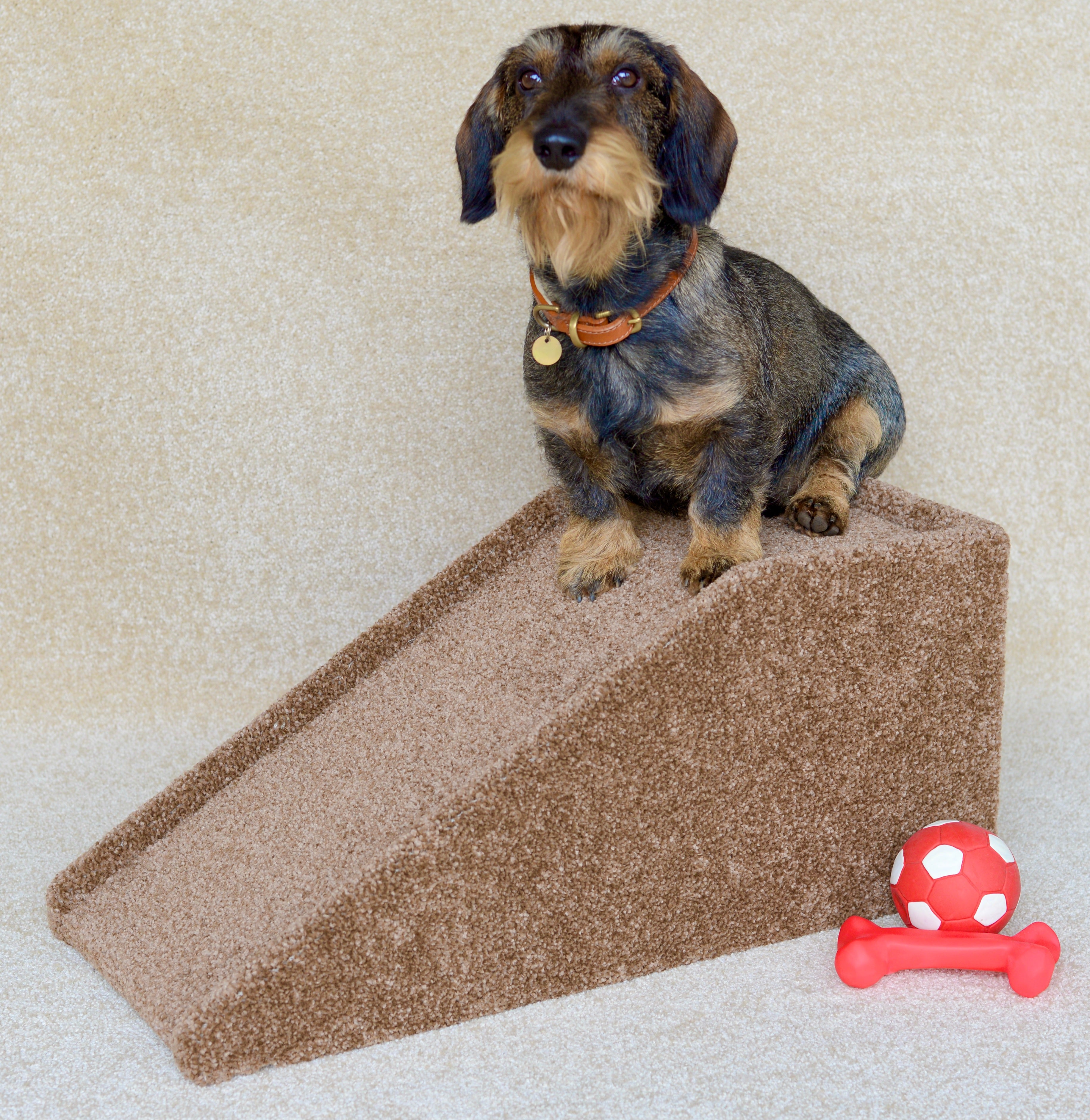 Cream Ramp Pet Ramp – Archie's Workshop - Pet Ramps & Steps
