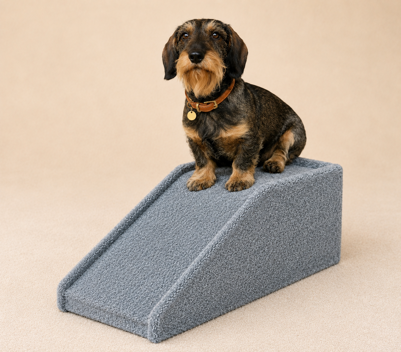 Pet Ramp