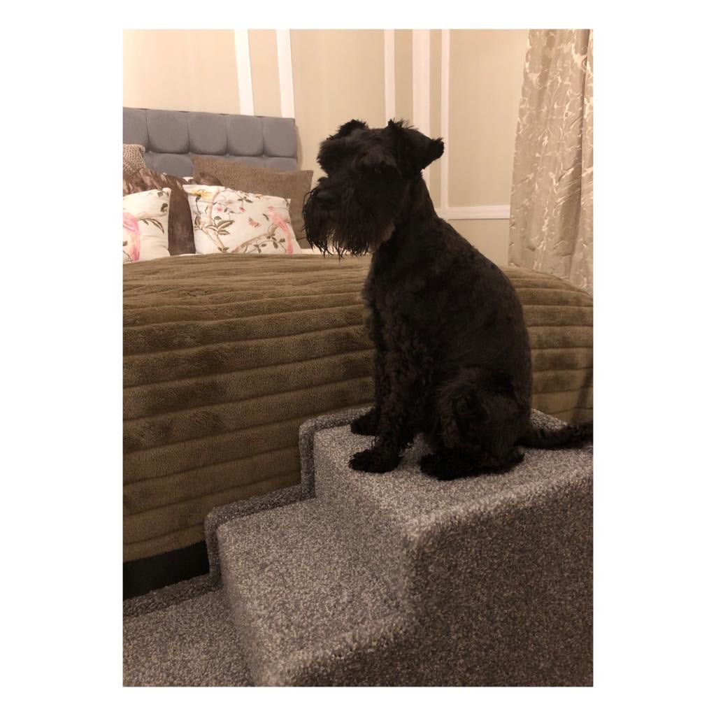 Peggy & Olive's Space Saver Steps - Handmade Dog Steps Indoor Pet Cat Dog Bed Sofa Steps Stairs Ramp Portable Strong