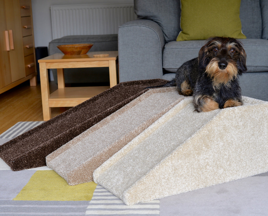 Dog ramp shop for house