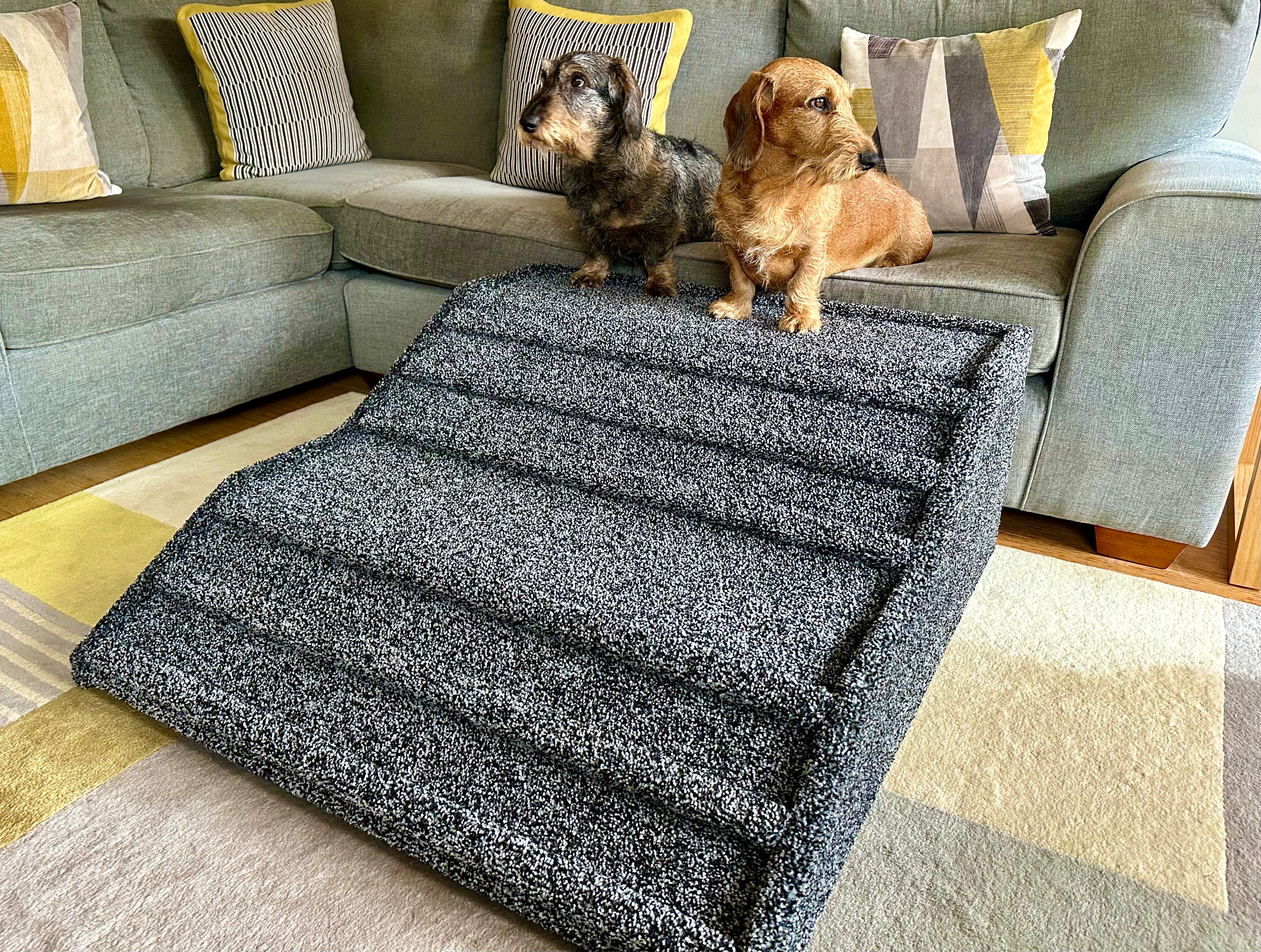 Carpeted shop dog ramp