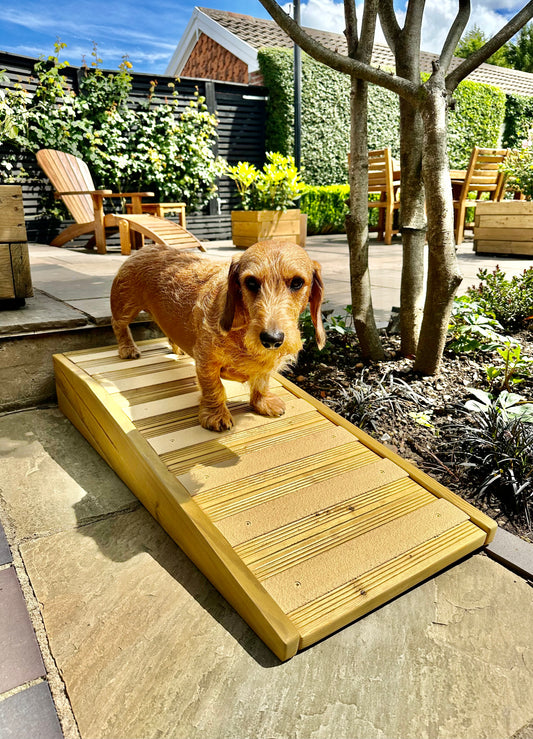 Handmade Outdoor Garden Pet Ramp for Your Dog or Cat Non-Slip and Sturdy