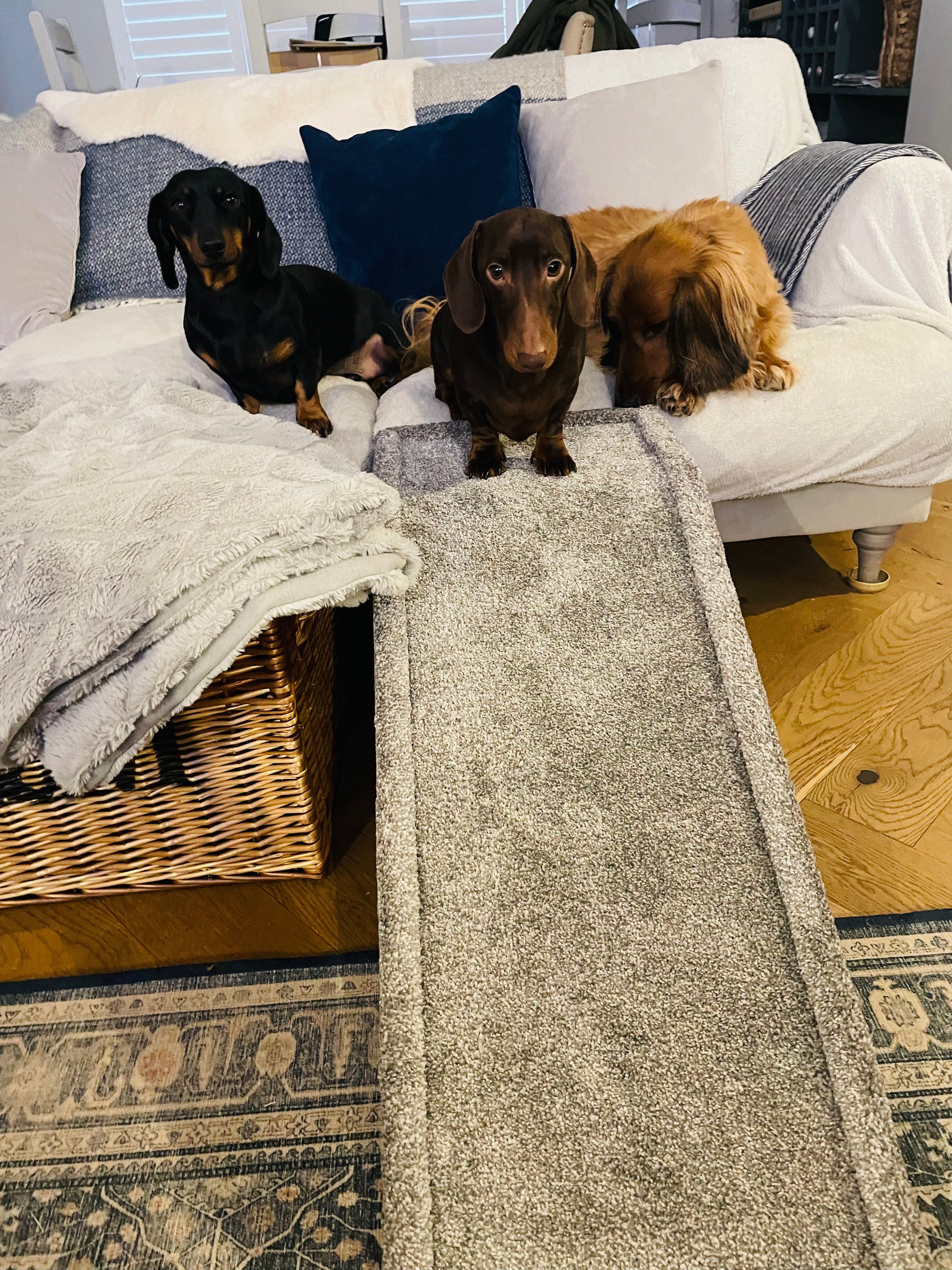 Pet ramp with landing sale