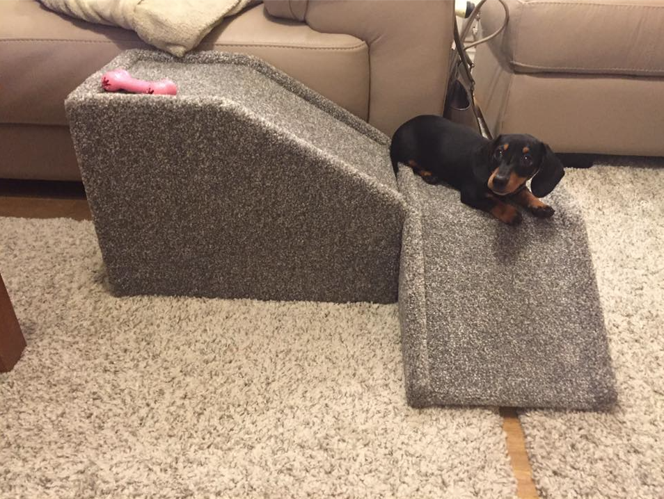 Pet ramp for sales sofa