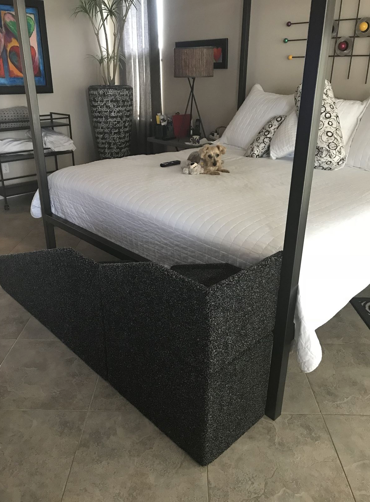 61cm (24") High-Sided Carpeted Wood Dog, Cat, Pet Ramp