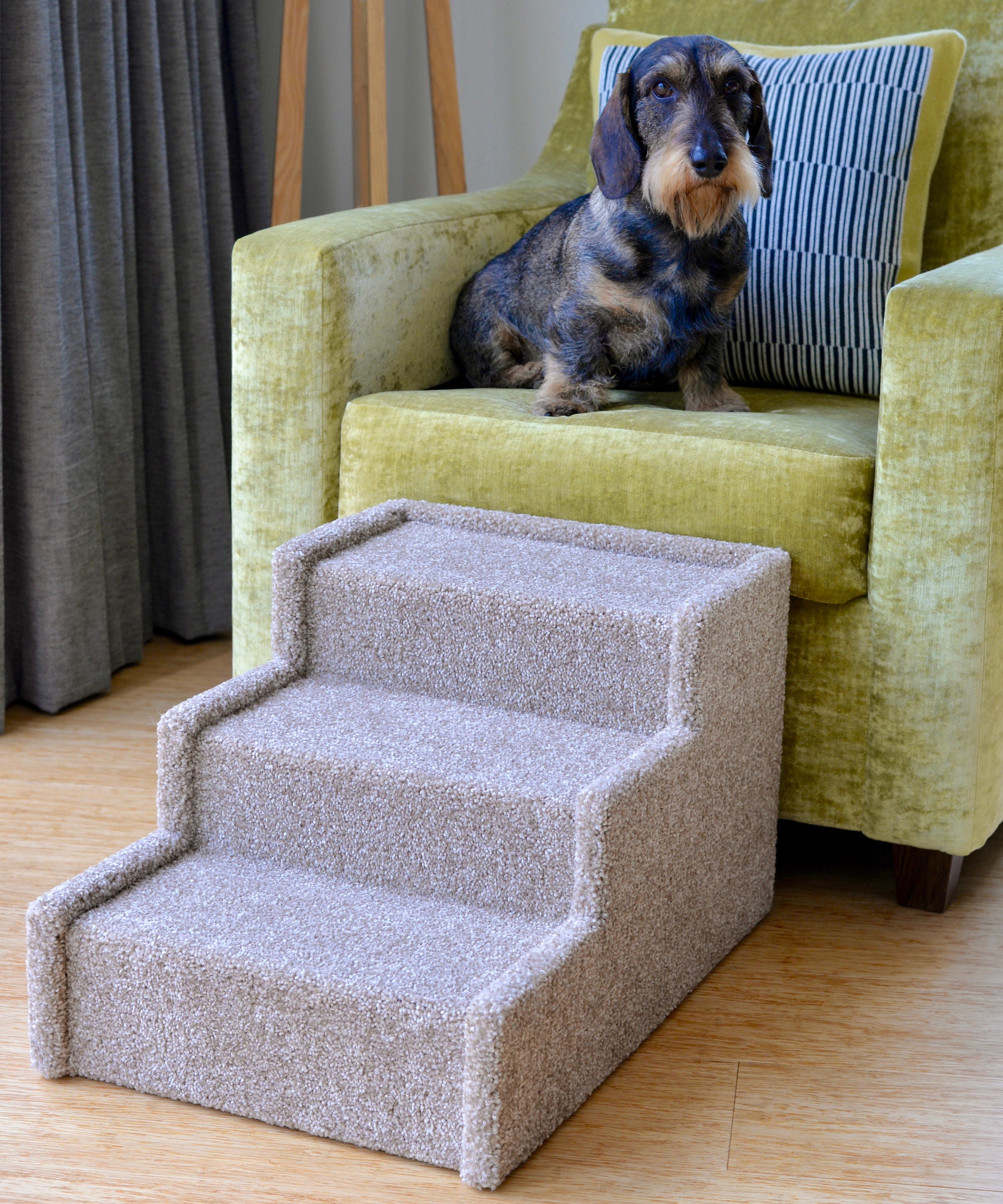 Carpeted dog clearance stairs